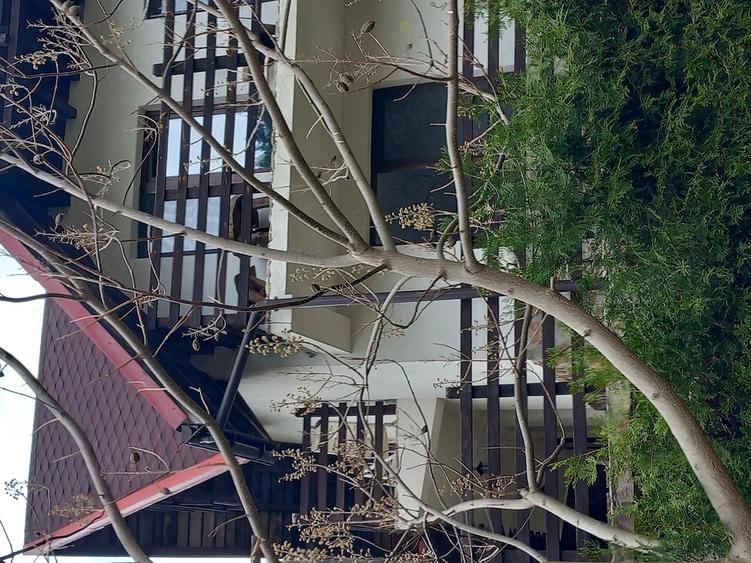 Casă cu 6 camere cu Teren 250 Mp în Central