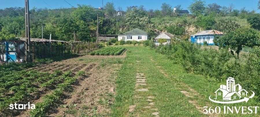 Casă cu 3 camere cu Teren 2400 Mp în Mahmudia