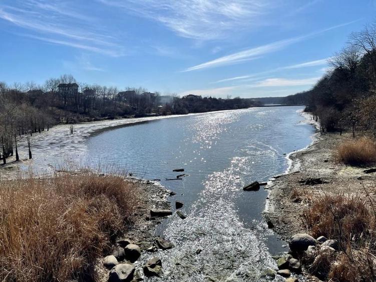 Teren Branesti cu deschidere la lac aproape de padure - 4