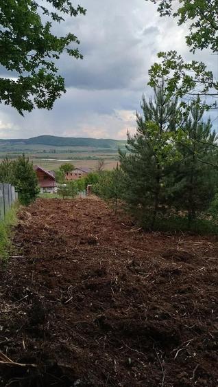 teren pentru cabana, langa padure, in Micesti - 1