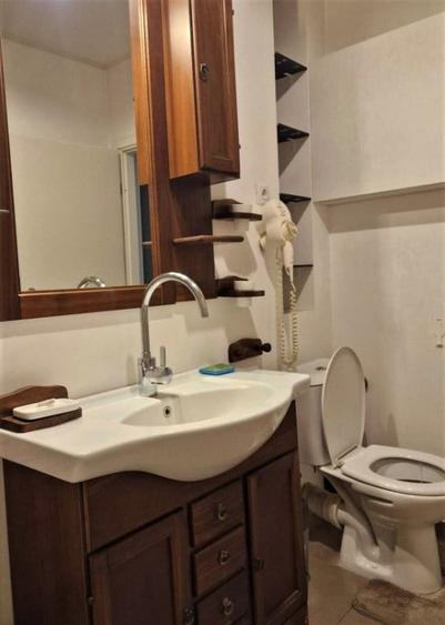 Apartament 3 camere zona Brancoveanu - 3