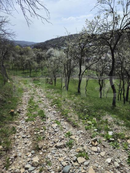 Vila Panoramica Runcu - 17