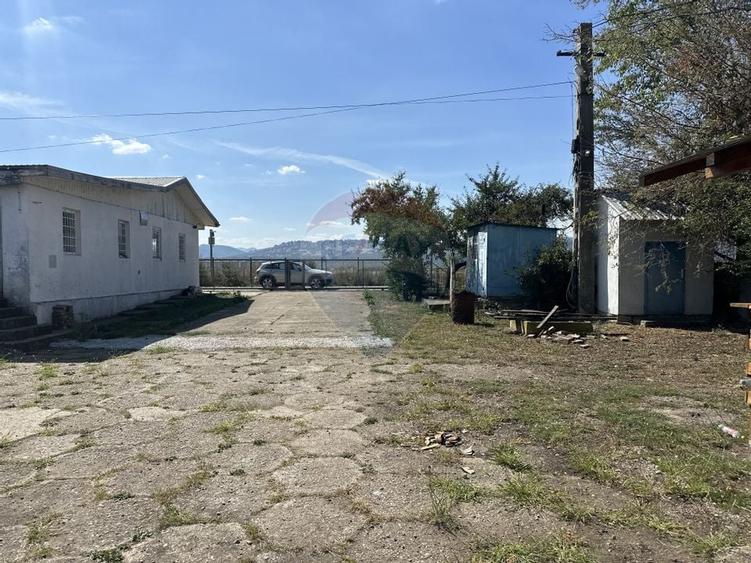 Spațiu industrial hale depozitare si productie - 2