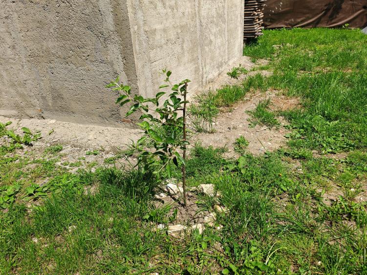 Casa 4 camere libera la vanzare RASNOV - zona Mihai Eminescu - 24