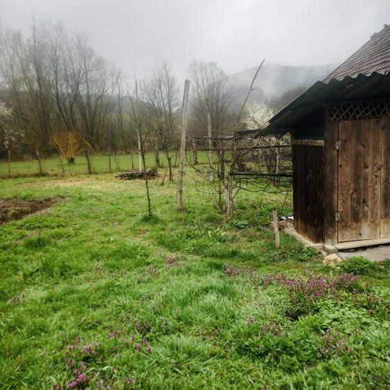 Casa si teren de vanzare - 3