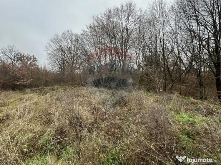 Teren 1,200mp si 400m2 cota drum Satu Nou de Jos / Strada... - 4