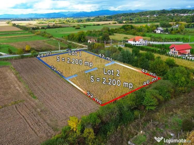 Lot de Teren Intravilan de Vanzare sau Parcela intreaga - 3