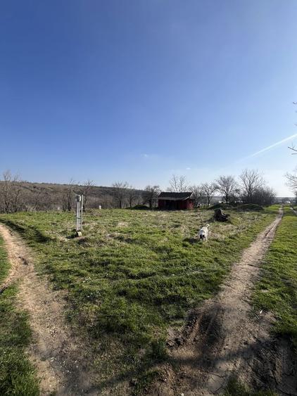 Teren intravilan 2500mp, zona excelenta - 2