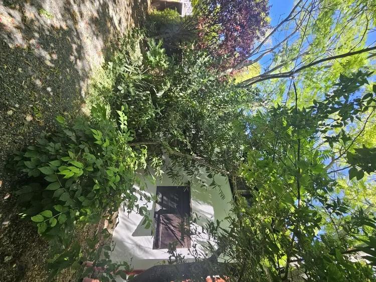 Casa in Vama Veche la pret de apartament - 5