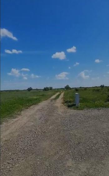 Ocazie! Domnesti-Ghioceilor, Ideal investitie - 6