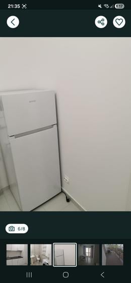 Theodor Pallady cu contract - 7