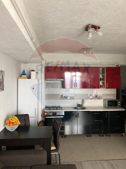 Apartament cu 2 camere de închiriat în zona Mihai Viteazul - 8