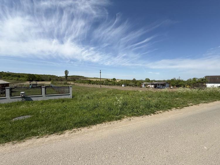 Ofer spre vanzare teren intravilan Viile Satu Mare - 6