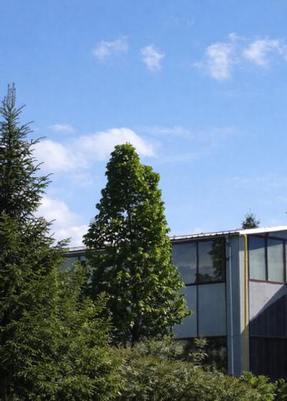 Hala industriala de inchiriat pe Calea Bucuresti folosinta multipla - 12