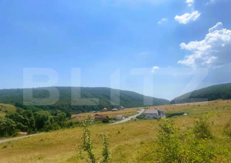 Teren construibil, 1100 mp, cu certificat de urbanism, Salic - 3