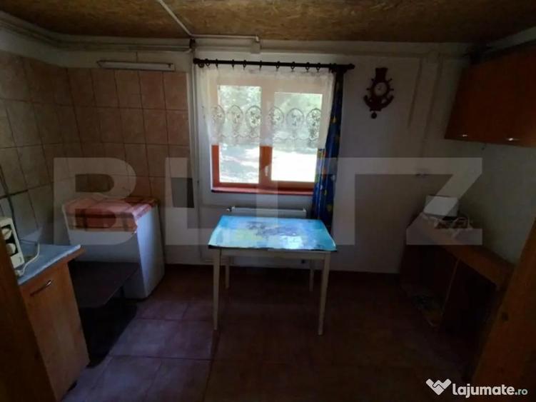 Cabana 4 camere Lunca Bradului - 3