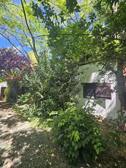 Casa in Vama Veche la pret de apartament - 1