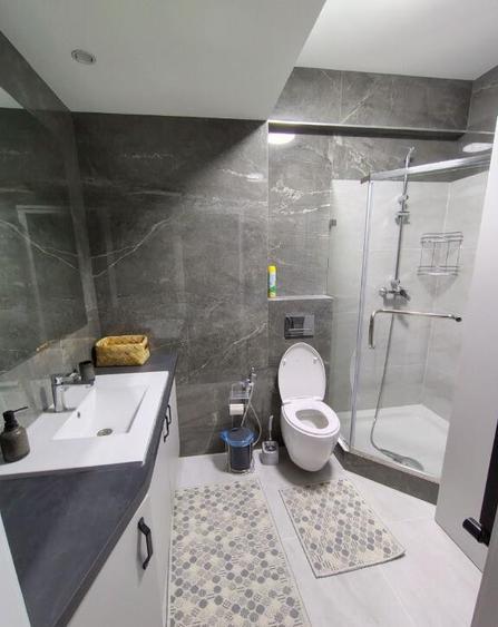 Apartament cu 2 camere de inchiriat in zona Aviatiei - 3