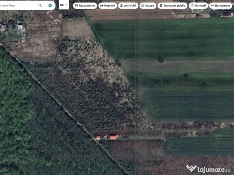 `Teren cu dubla deschidere, langa padure, Snagov - Strada Pa - 3