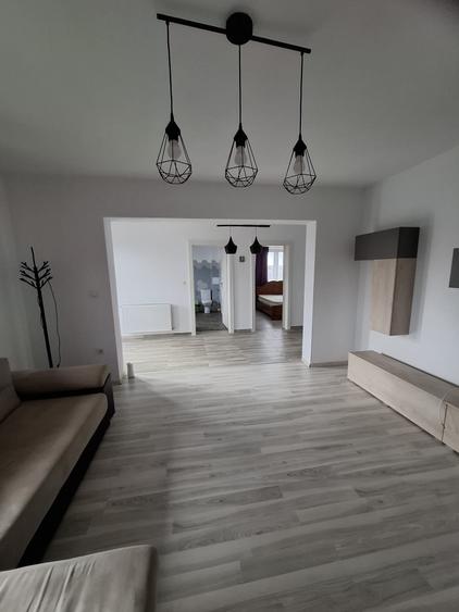 Sanandrei – Duplex  2  Camere – Pod  Mansardabil - 4