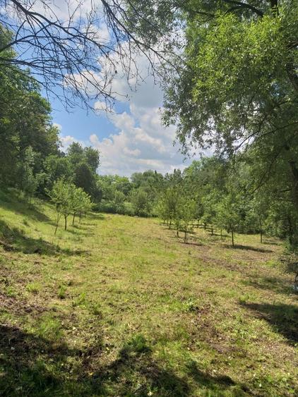 Teren de vanzare - 3