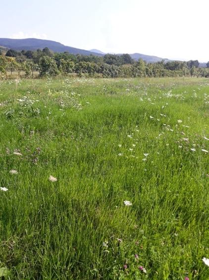 Casa Visurilor Tale !!! Com Crasna, Sat Crasna Din Deal . Jud Gorj - 9