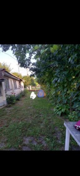 Casa batraneasca nelocuibila cu teren 730mp Olari, Prahova - 3