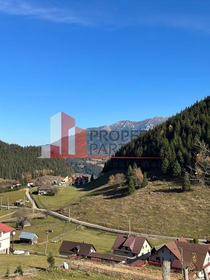 Teren Fundatica intravilan 4500 mp - 13