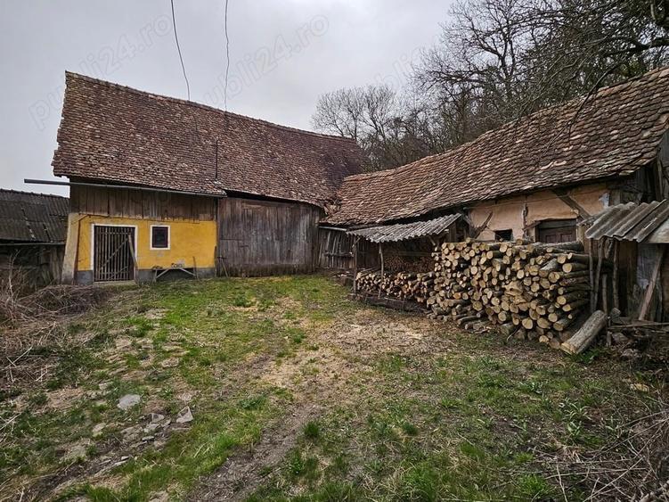 Casa de vanzare la tara - 3