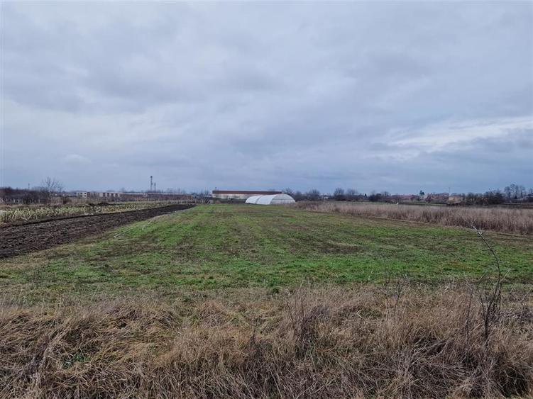 Teren intravilan de 1167 mp, în Borș