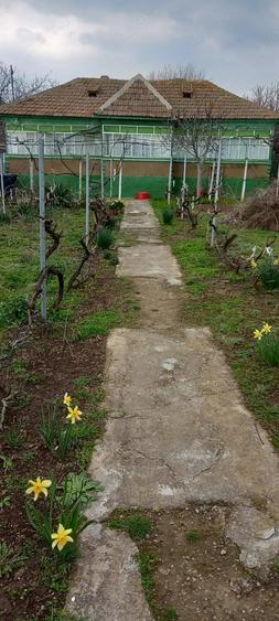 Casa batraneasca 2 corpuri - loc. Mircea Voda, Tulcea - 2
