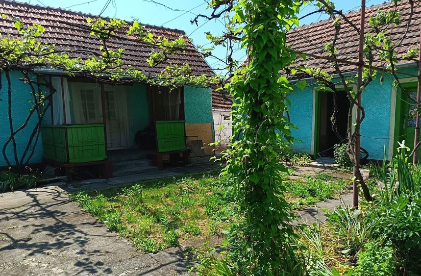 Casa de vacanta la marginea satului Susag Refugiu linistit la tara, teren generos si potential de extindere - 8