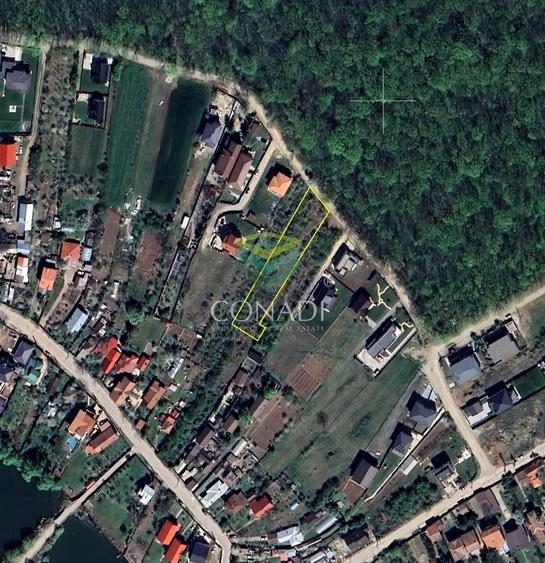 Teren || vis - a - vis de Padure - Balotesti || 2.000 mp - 4