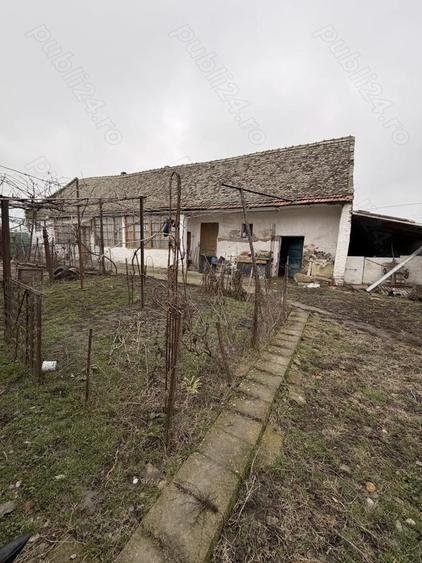 De Vanzare Casa + Anexe 510 MP - Gradina 290 MP - 6