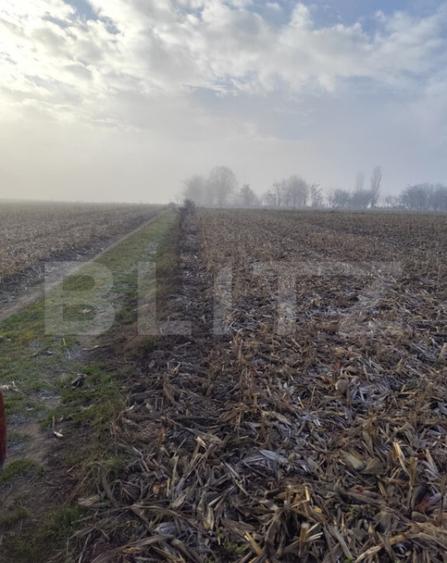 Teren 7200 mp extravilan, Miroslava-Vorovesti, langa zona d - 1