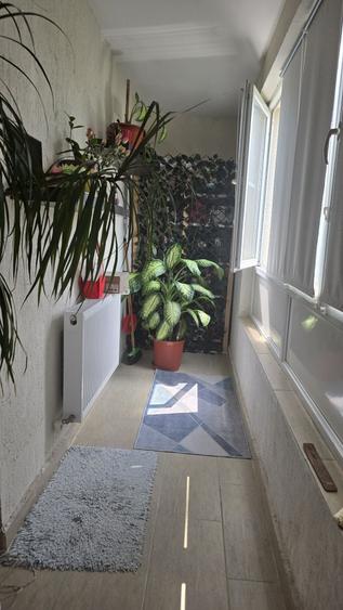 Apartament 3 cam - 3
