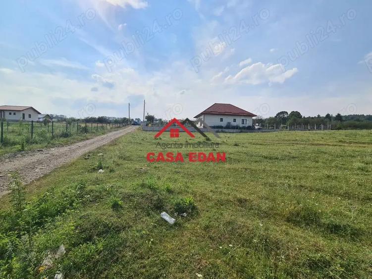 Teren intravilan in Campina, 7500mp--35e - 11