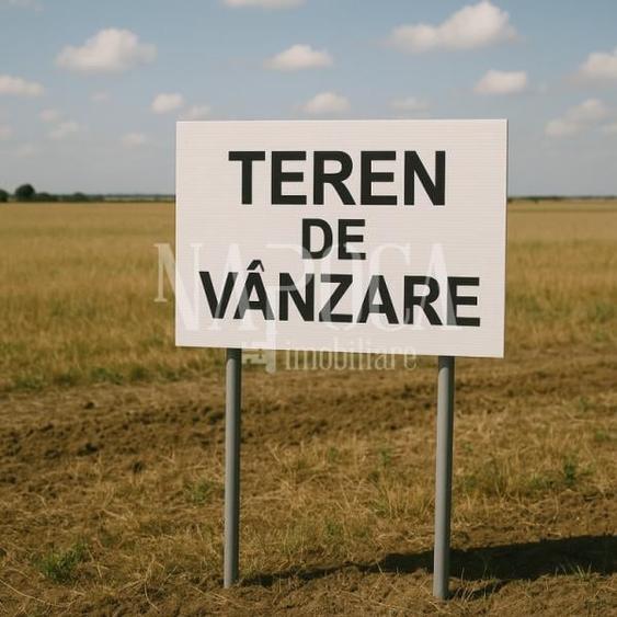 Teren intravilan pentru constructii de vanzare in Salicea - 3