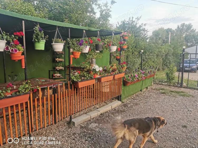 Vand spa?iu comercial+apartament +garsoniera - 7