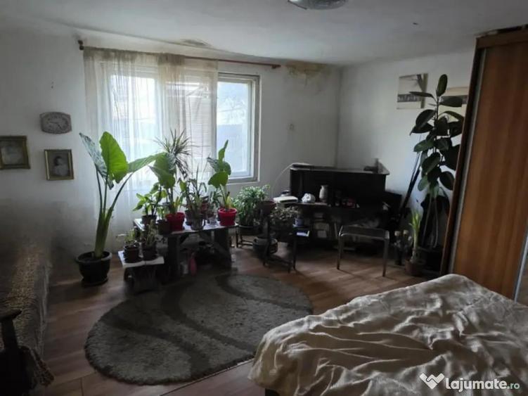 Casa cu teren de 223 mp in Iris, Cluj, aproape de viitorul Mall Rivus & Auchan! - 3