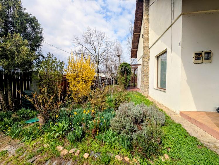 Martha Bibescu,rustic/cochet,4 dormitoare,living-semineu,mobilata,lux,Mogosoaia - 12