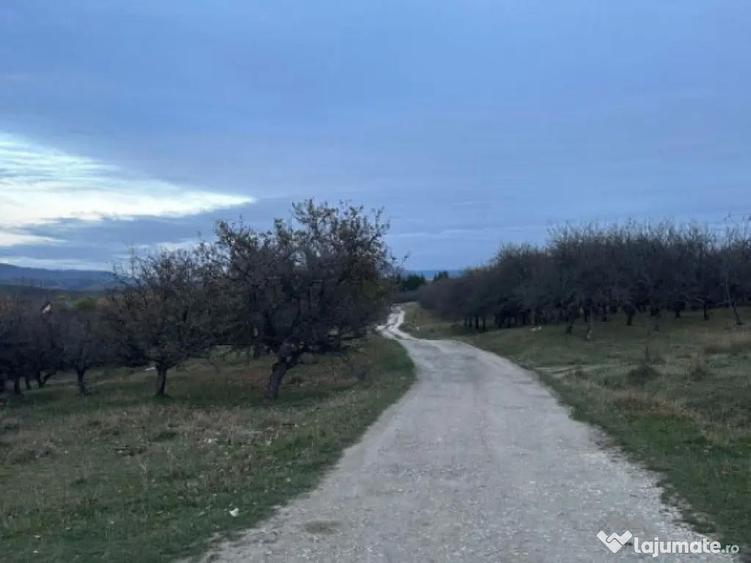 Teren de Vanzare 34.485 mp | Campulung Muscel | Zona - 6