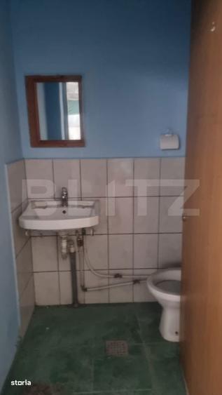 Hala moderna/depozitare, 720 mp, zona Mihai Bravu - 5