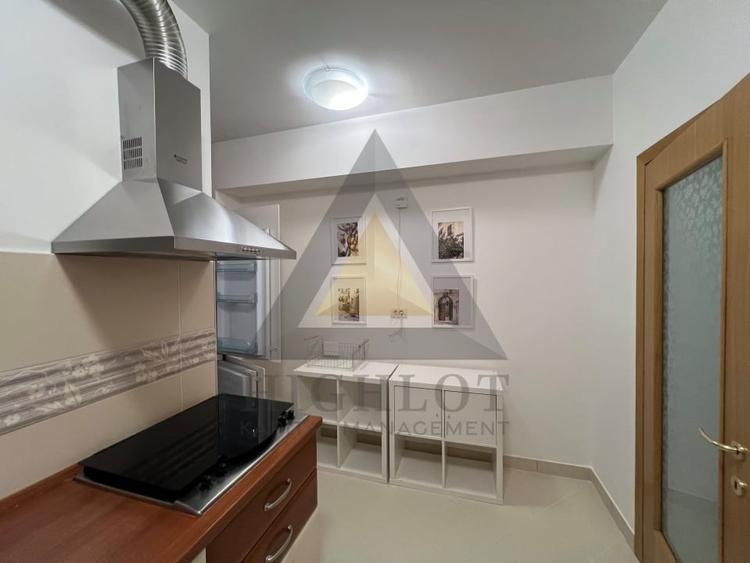 2 camere HERASTRAU NORDULUI ACCES RAPID PARCUL HERASTRAU - 12