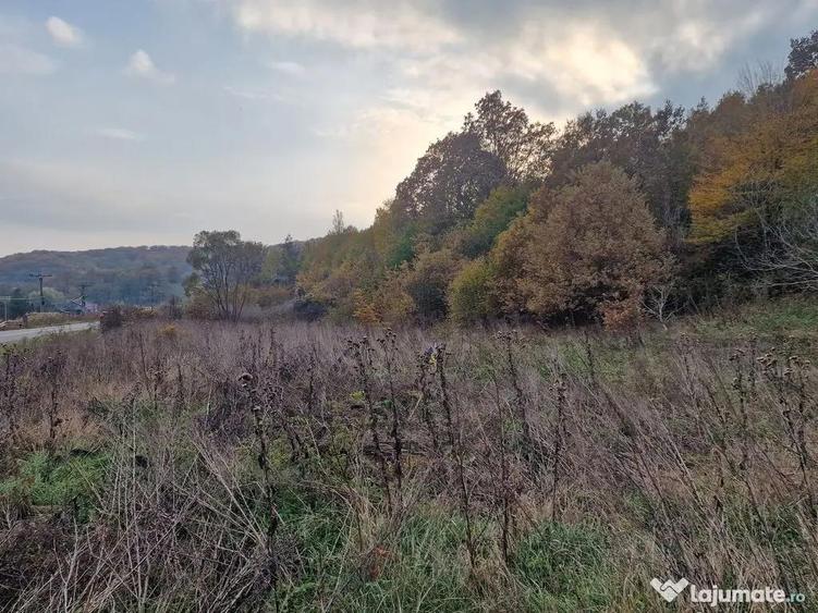 Teren 1,717mp Margineni / Strada Sat podis - 7