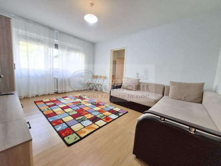 Liber,  apartament 2 camere, mobilat, Alexandru cel Bun Iasi