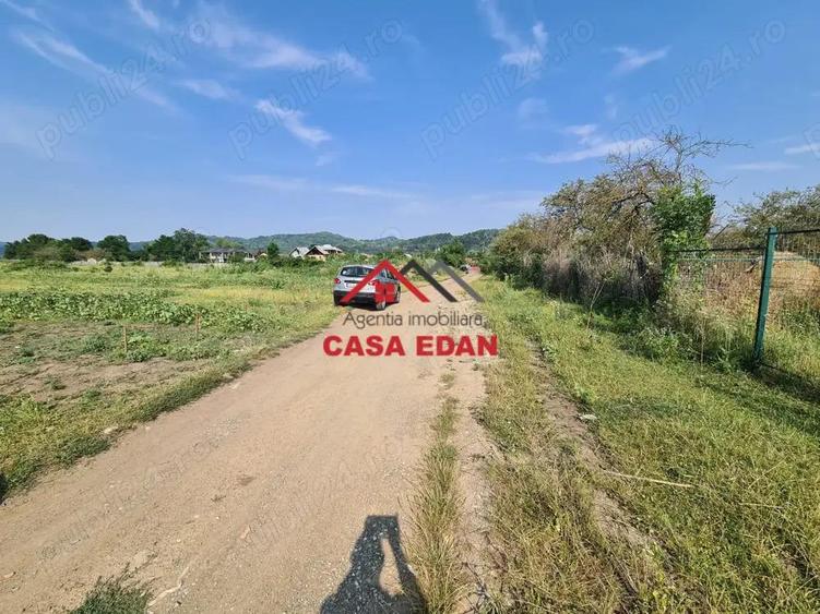 Teren intravilan in Campina, 7500mp--35e - 10