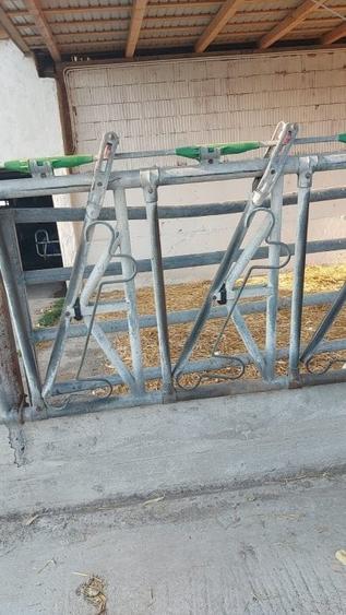 Ferma zootehnică funcțională, populată cu peste 200 capete bovine, aproape de Sâ - 1