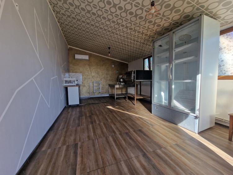 Nicolae Balcescu-Hala 160mp+ dependinte racordata la utilitati, cu teren 1300mp, - 10