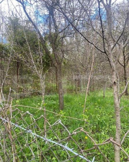 Teren 784 mp, Nistoresti, jud Prahova - 3